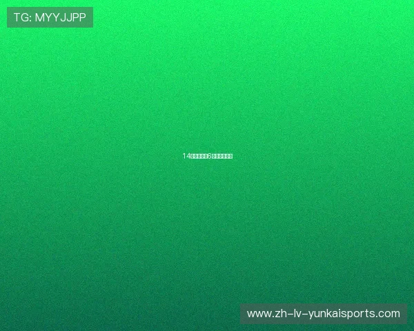 14款全新宝来6万公里大保养