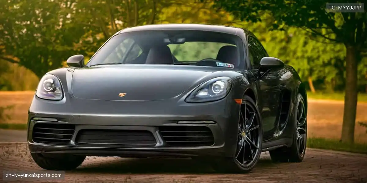 ⚔️🏅 强者较量，荣耀加冕！